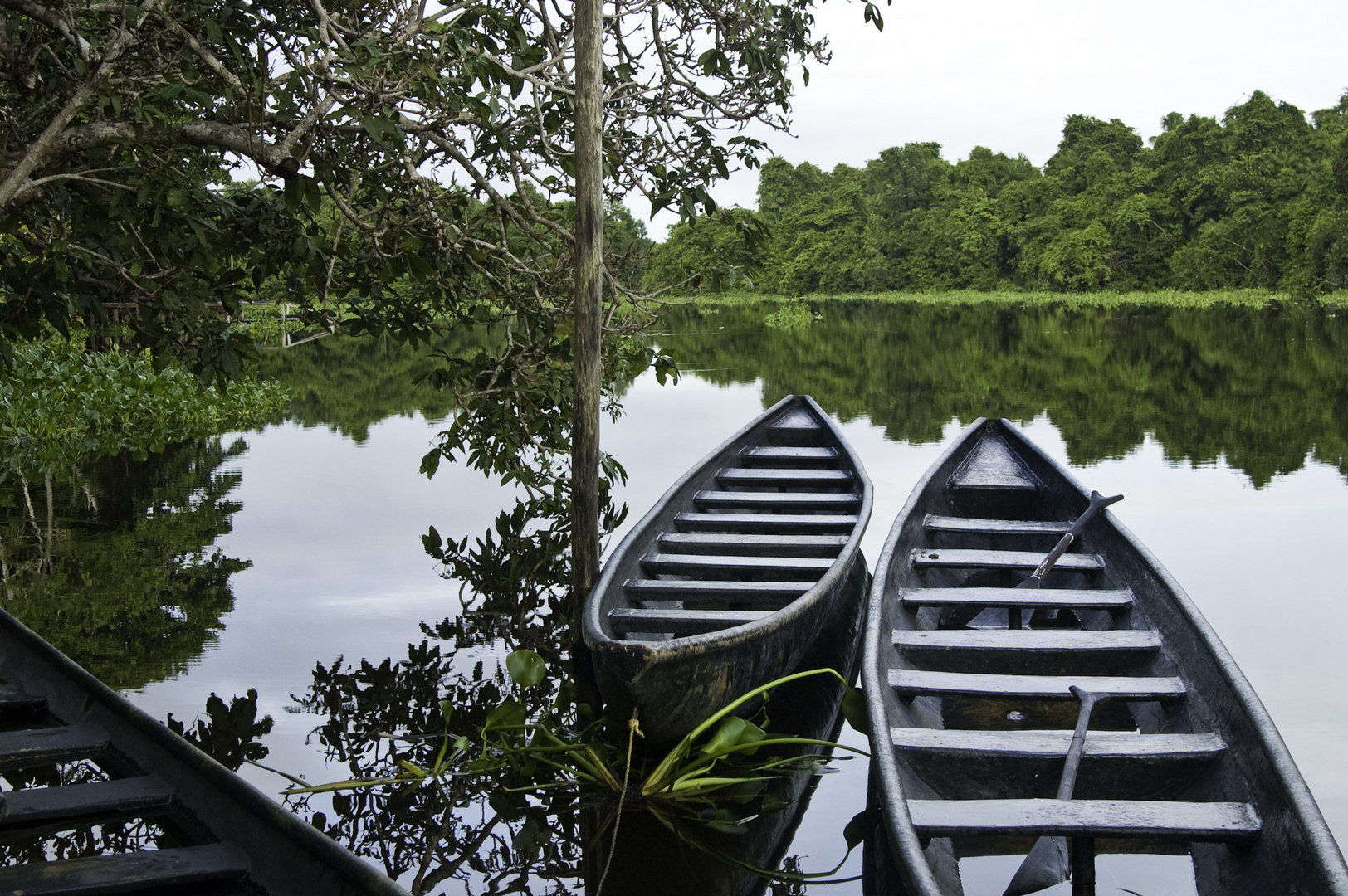 Boote im Orinocodelta