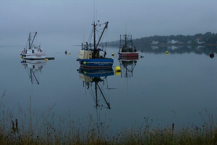 Boote im Regen (NS 2004)