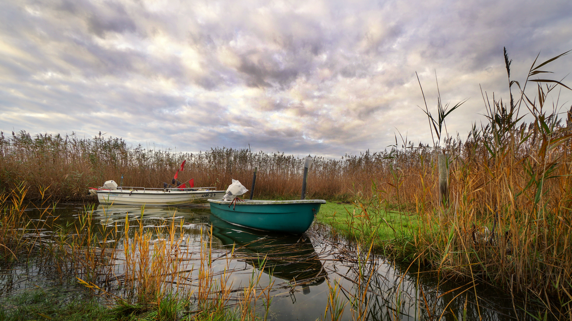 Boote im Schilf