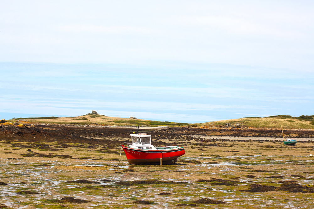 Boote im Schlick