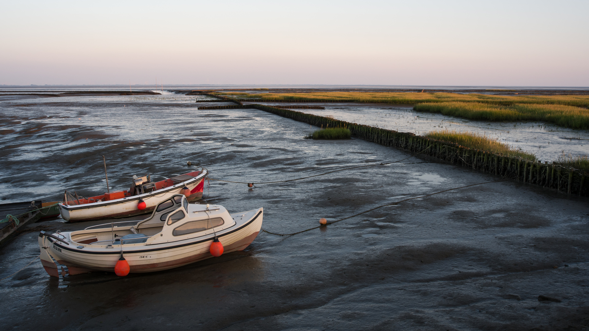 Boote im Schlick 