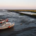 Boote im Schlick 