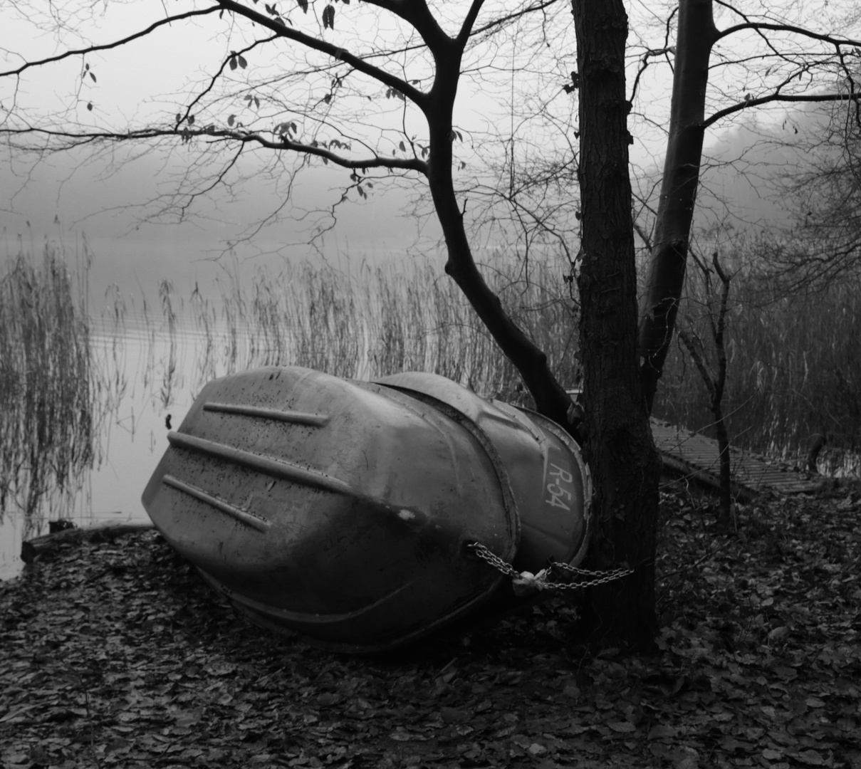 Boote im Winter - Roofensee