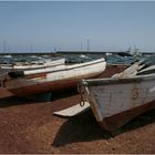 Boote in Arrecife - Lanzarote