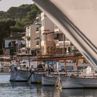 Boote in Cala Fi 1