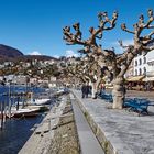 Boote in der Bucht von Ascona (Tessin, Schweiz)