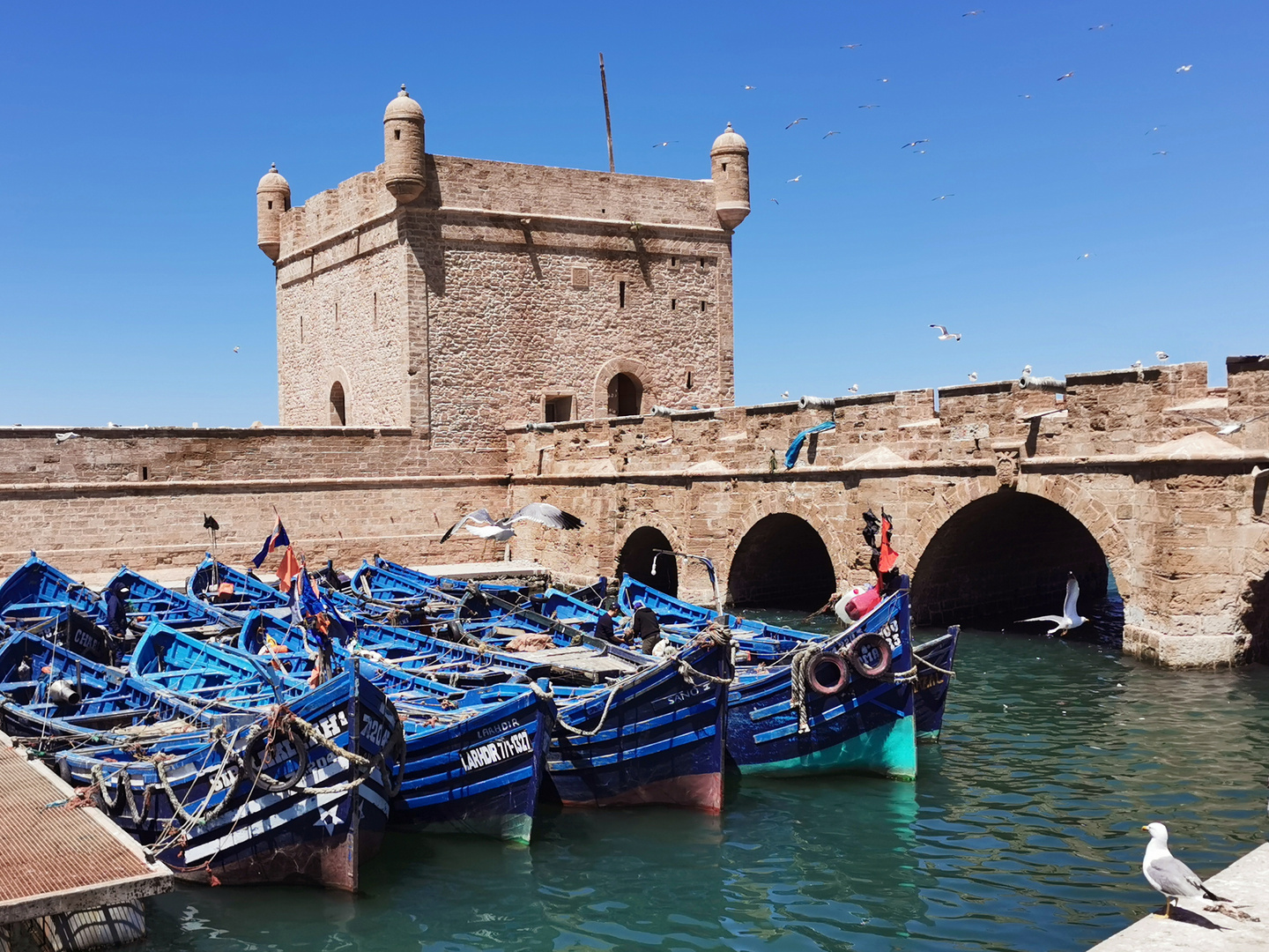 Boote in Essaouira