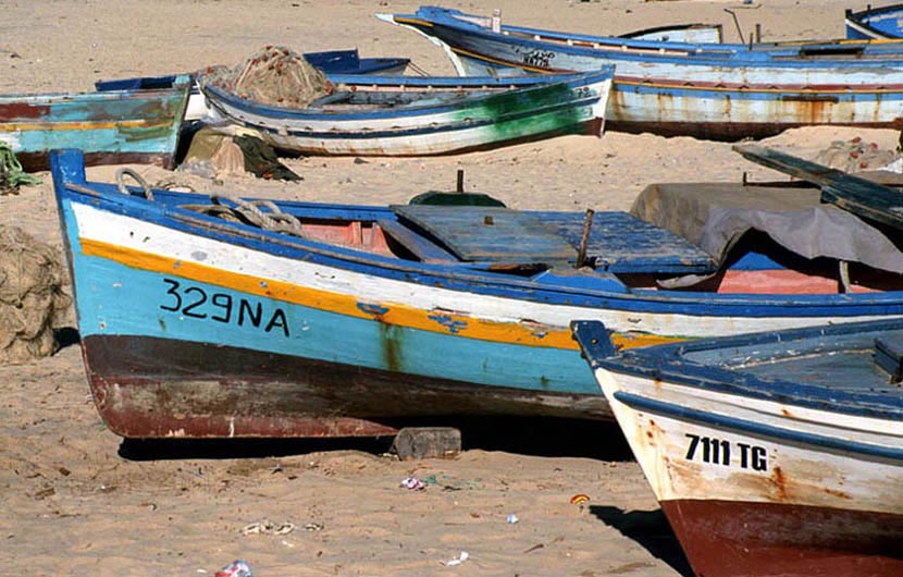 Boote in Hammamet