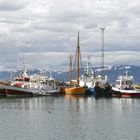 Boote in Husavik 