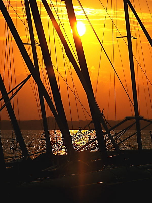 Boote in Laboe