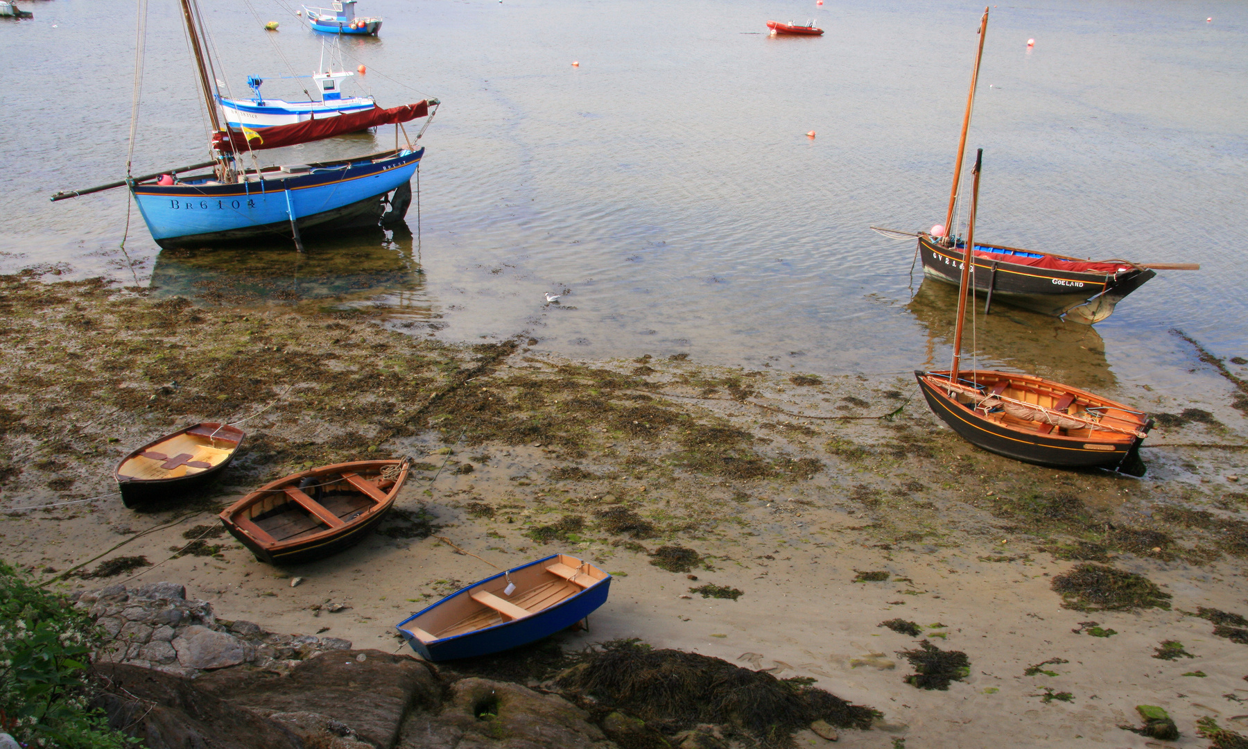 Boote in "Le Conquet" , dem alten Hafen von Brest.......