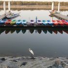 Boote in Regenbogenfarben