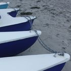 Boote - in Reih und Glied