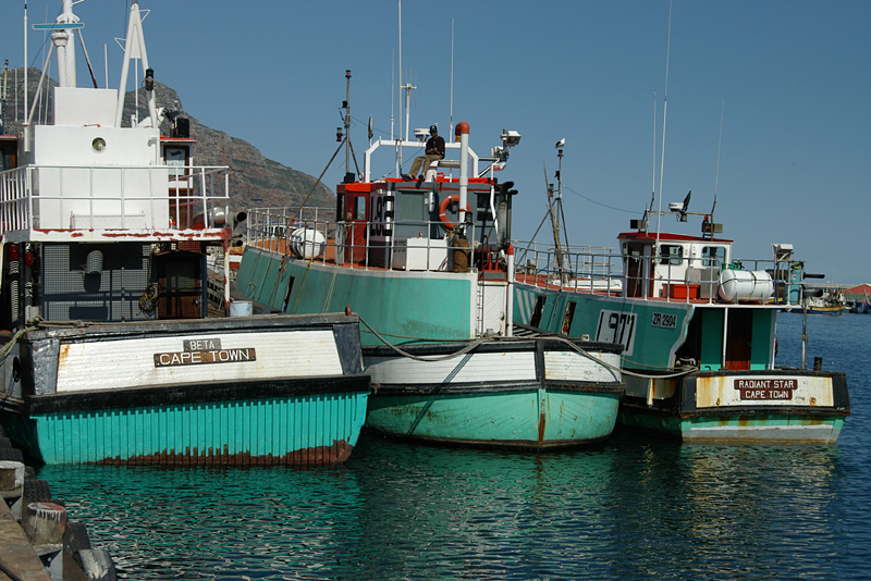 Boote in türkis