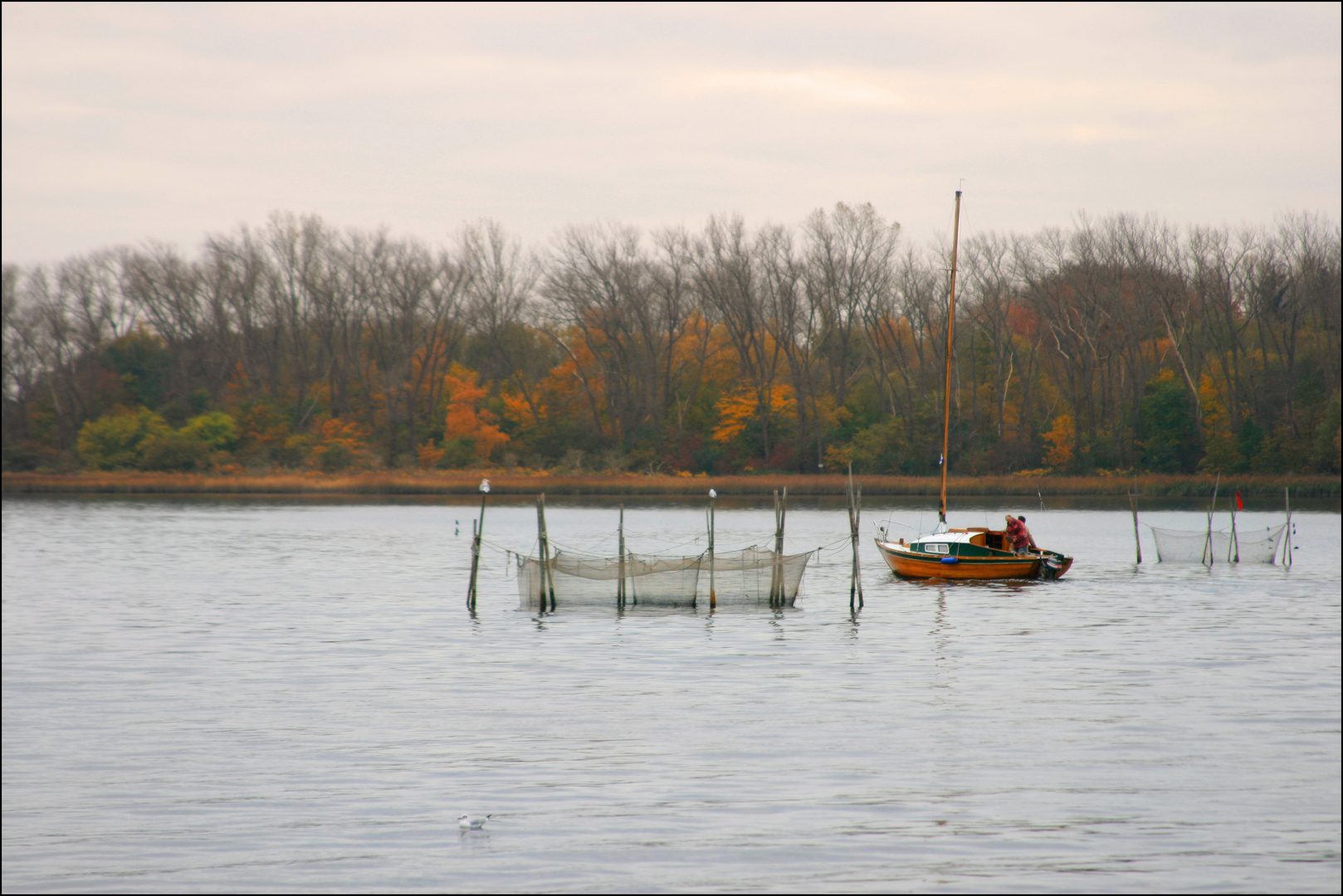 Boot,Netze