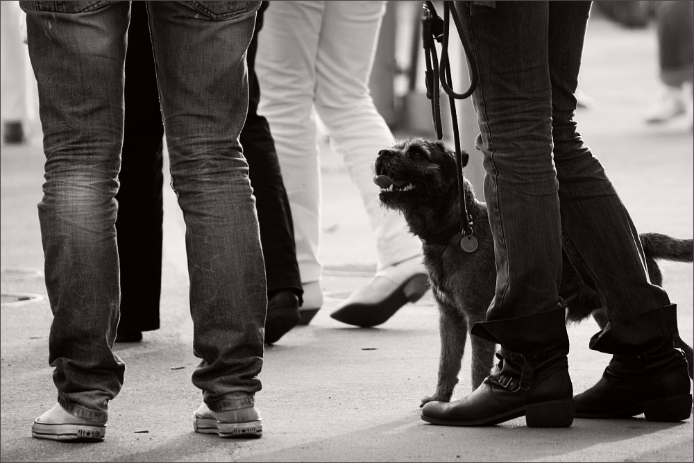 boots and dogs for walking :-)