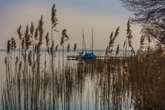 Bootsanleger - Mardorf/Steinhuder Meer