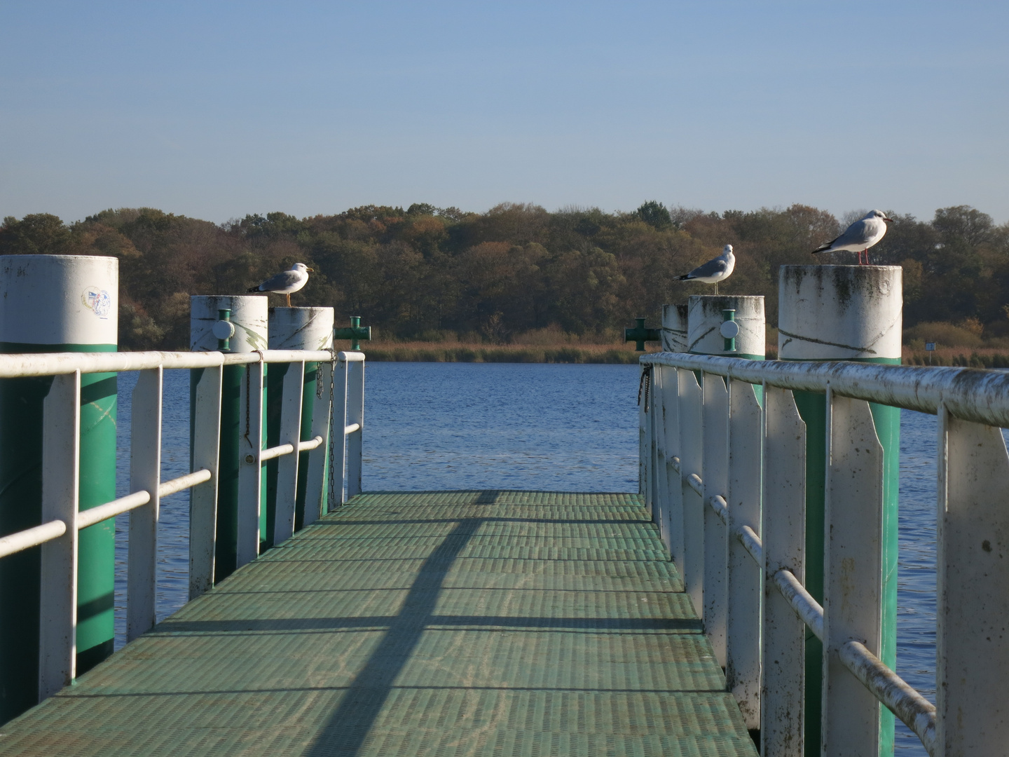 Bootsanlegestelle an der Havel