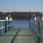 Bootsanlegestelle an der Havel