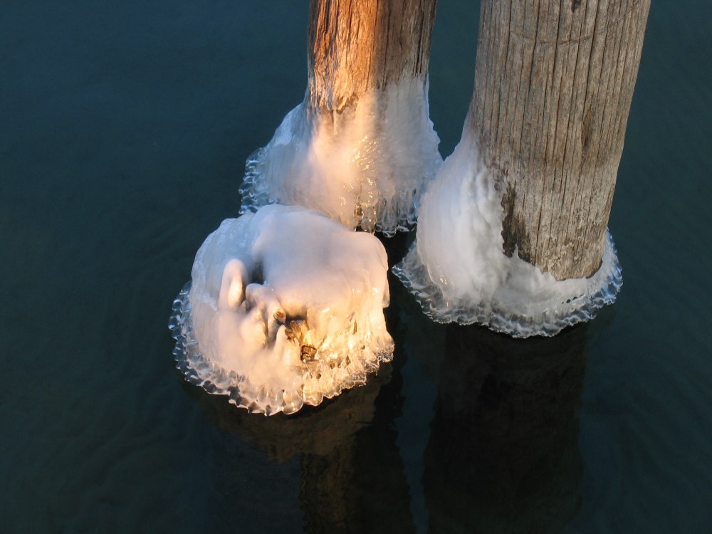 Bootsdalben im Winter