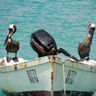 Bootsfahrt auf Bonaire