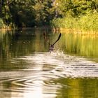 Bootsfahrt auf dem Emster-Kanal