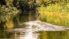 Bootsfahrt auf dem Emster-Kanal