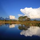 Bootsfahrt auf dem Kwando im Caprivi