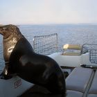 Bootsfahrt auf der Lagune in Walvis Bay