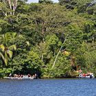 Bootsfahrt bei Tortuguero