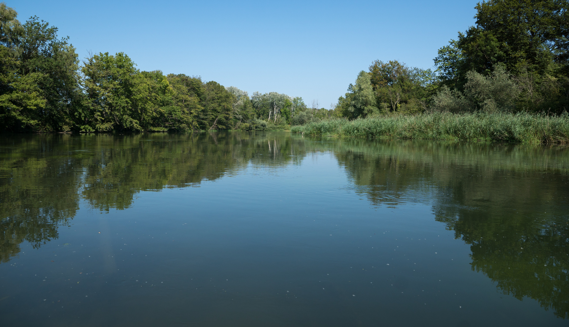 Bootsfahrt im Taubergießen