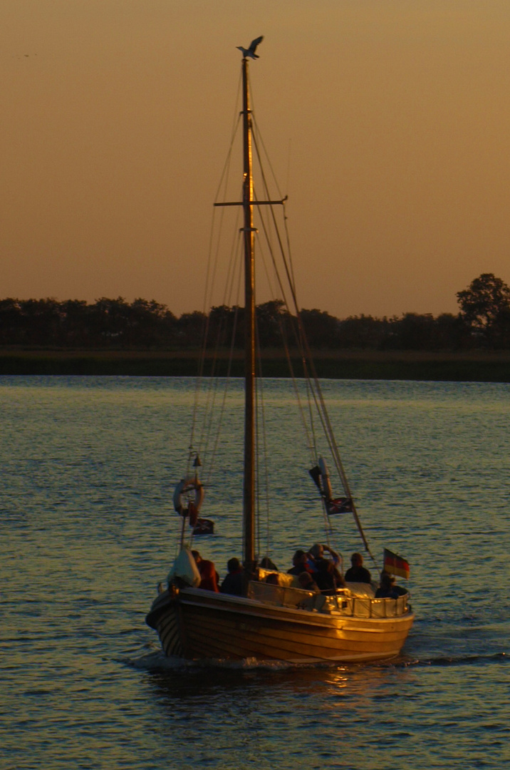 Bootsfahrt in Zingst