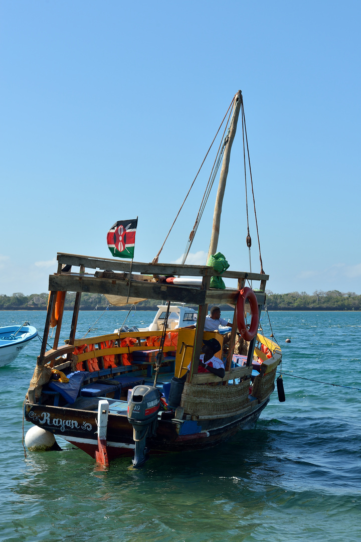 Bootsfahrt zum Wasini Island