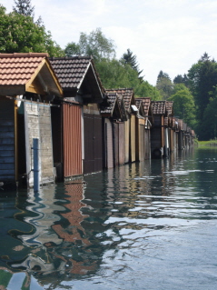 Bootshäuser auf dem Thunersee