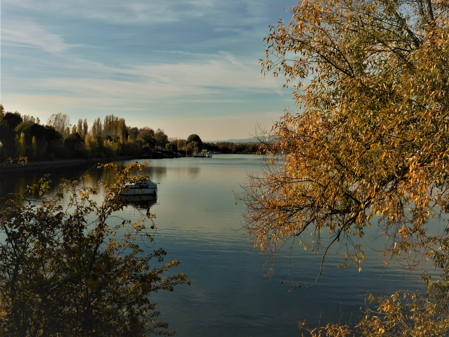 Bootshafen am Rhein  (II)