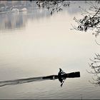 Bootshafen im Sonnenschein (V)