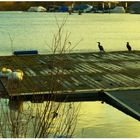 Bootshafen im Winter