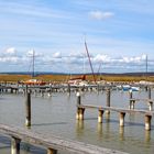 Bootshafen, Mörbisch, Neusiedlersee