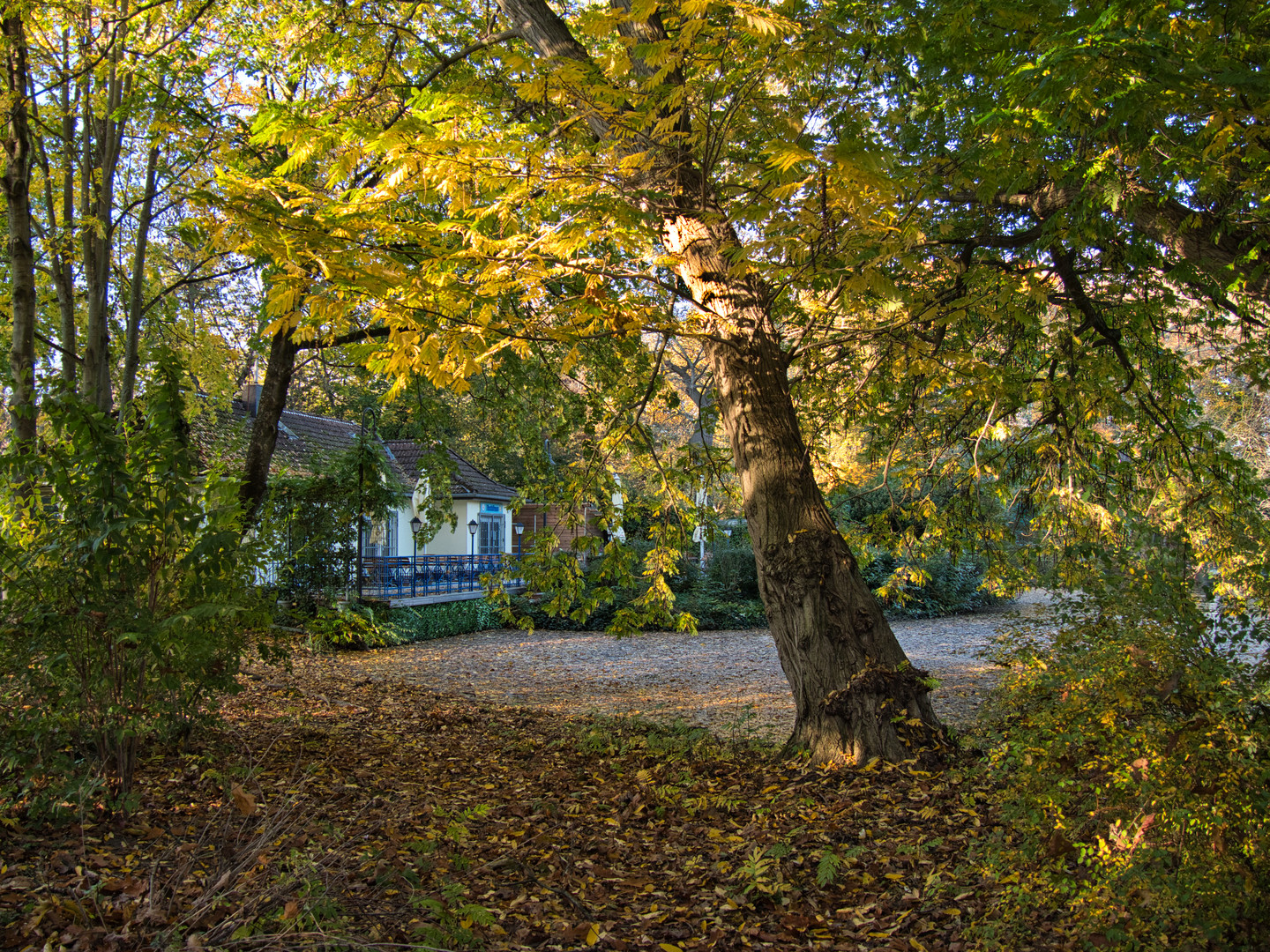 Bootshaus im Volksgarten