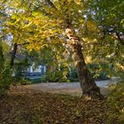 Bootshaus im Volksgarten