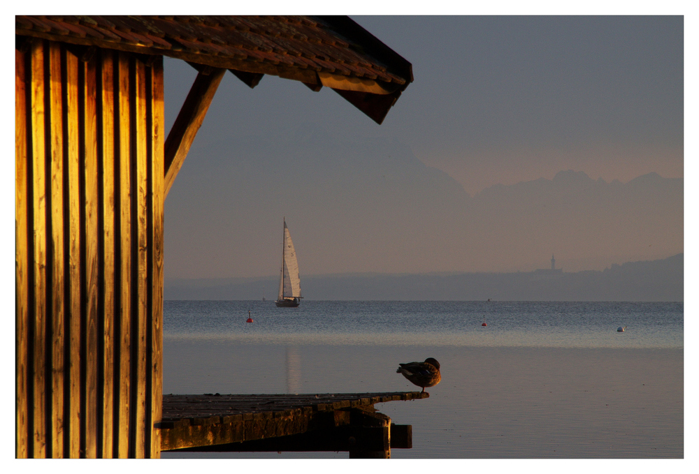 Boots(h)ausblick...........