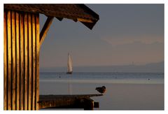 Boots(h)ausblick...........