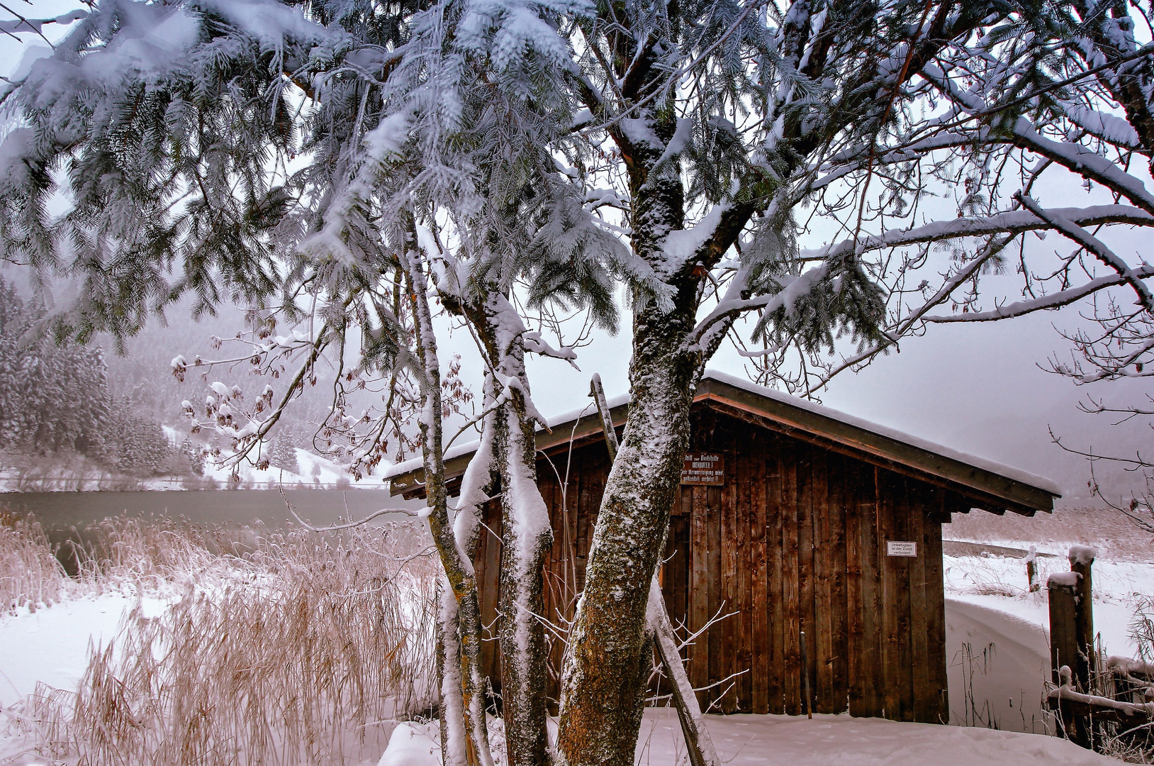 Bootshütte am Haldensee im ersten Winterkleid