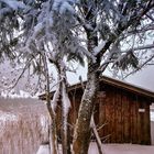 Bootshütte am Haldensee im ersten Winterkleid