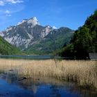 Bootshütte am Lepoldsteinersee