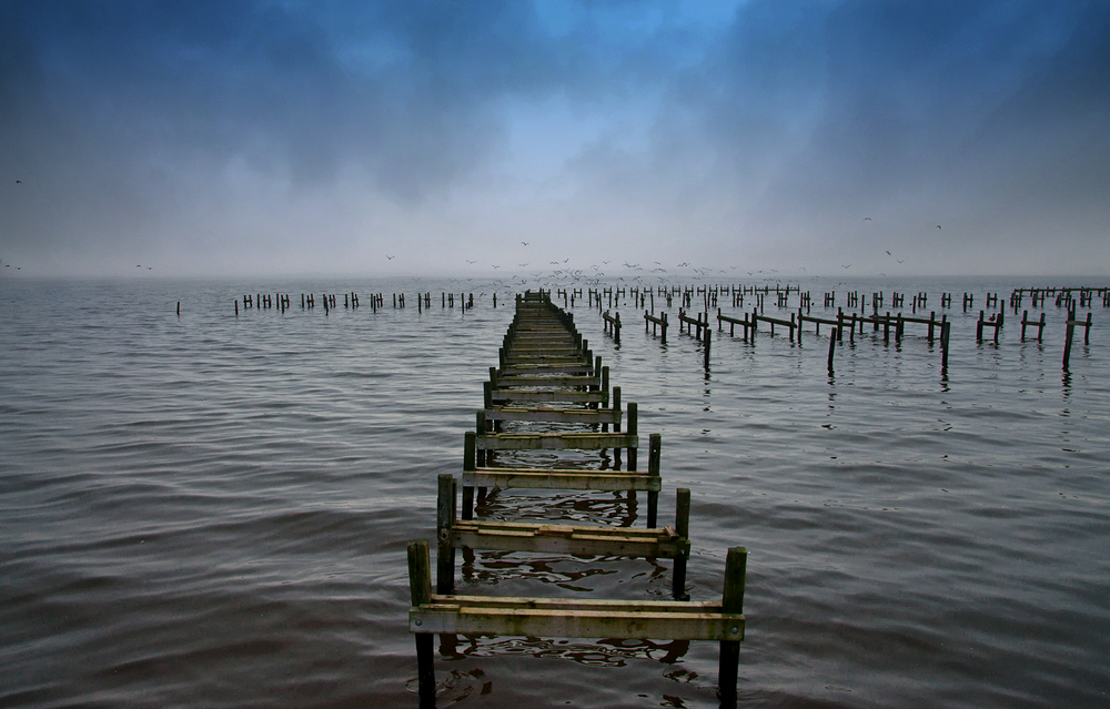 Bootssteg am Dümmersee