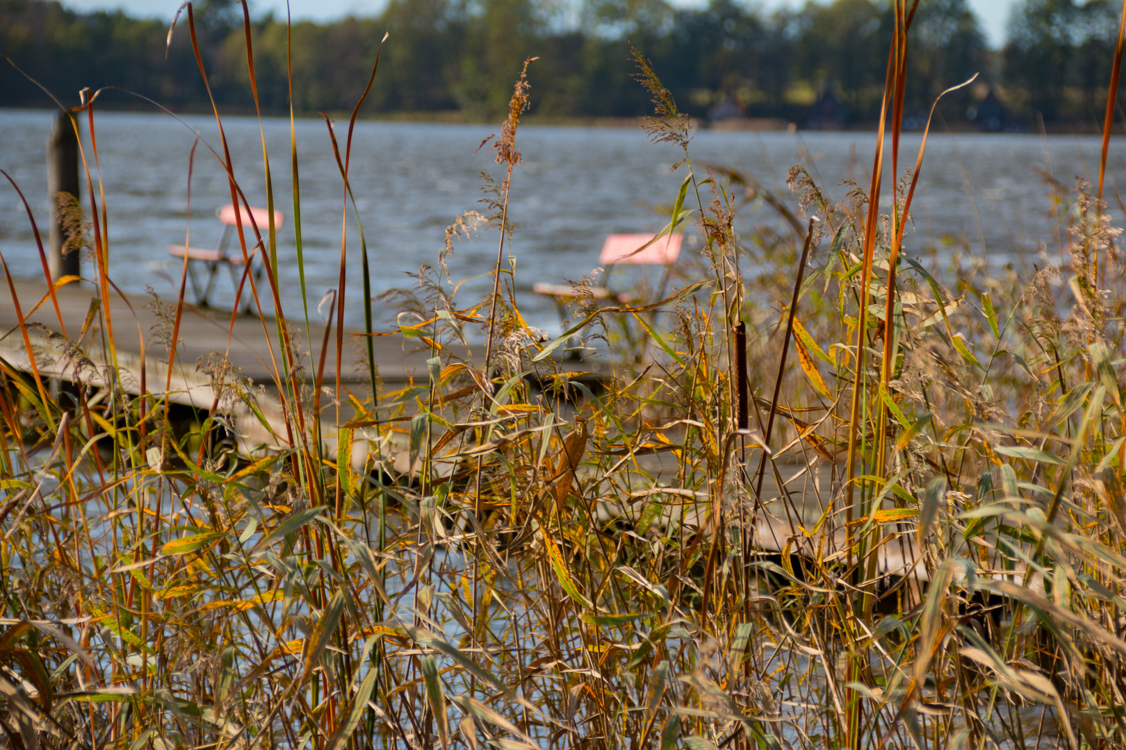 Bootssteg am kleinen Pälitzsee