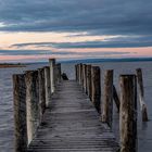 Bootssteg am Neusiedlersee, Podersdorf- Burgenland.