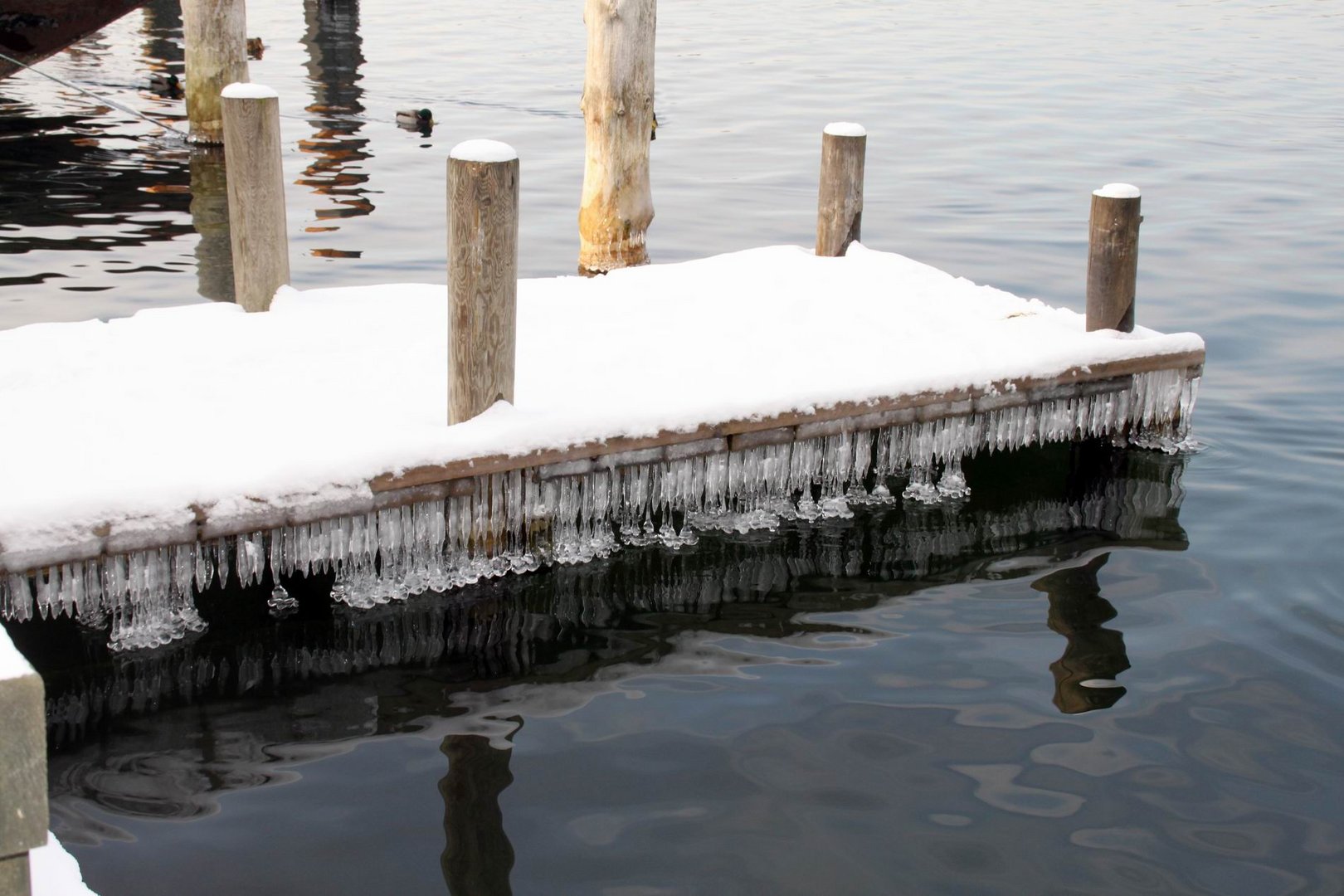 Bootssteg am Werbellinsee