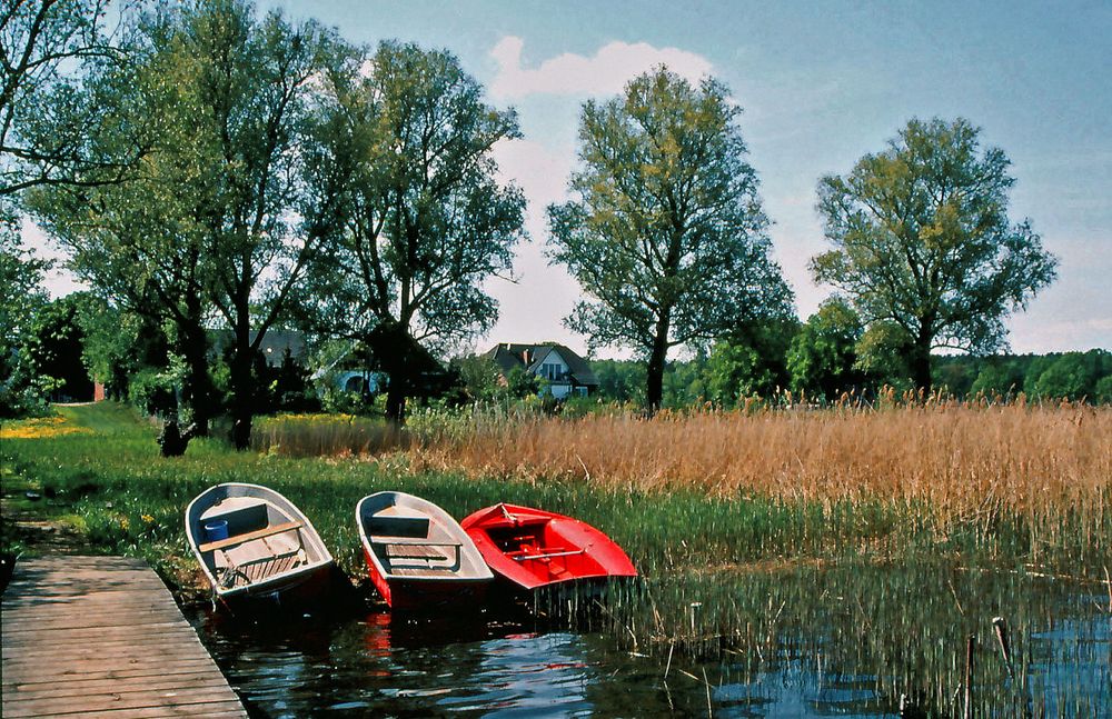 Bootssteg an der Müritz (Analog )